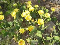 009.webp