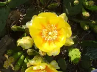 008.webp