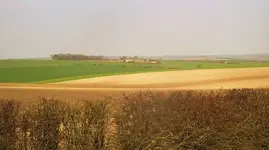 yorkshire wolds 015.webp