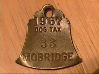 OKMobridge.webp