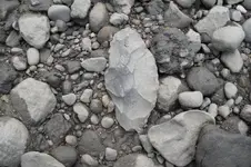 rsz_1001[1].webp