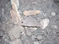 DSCN0450.webp