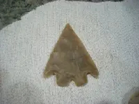 DSCN0480.webp