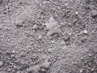 DSCN0472.webp