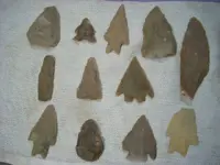 DSCN0476.webp