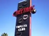 Cheetahs.webp