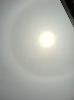 215438_1900885476001_1057590214_2175684_7461130_n.webp