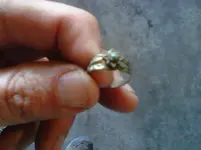 ring1.webp