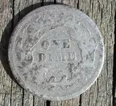 dime back.webp