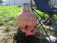 skull4.webp
