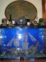 Ship 1.webp