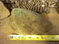 DSCN0697.webp