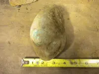 DSCN0703.webp
