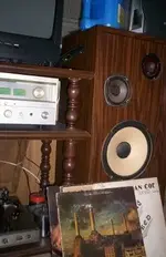000_1317.webp