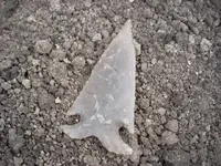 DSCN0557.webp