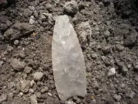 DSCN0560.webp