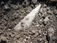 DSCN0561.webp