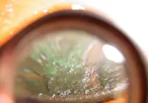 Copper res.webp