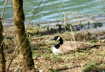 DSC04351.webp