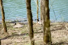 DSC04352.webp