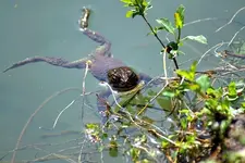 DSC04354.webp