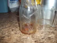 100_0057.webp