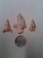 IMG00232-20110402-2039[1].webp