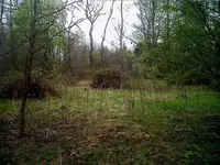 IMG00036-20110422-1352.webp IMG00036-20110422-1352.webp