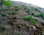 nh FINDS 05-09.2 001.webp