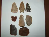 DSCF1618.webp
