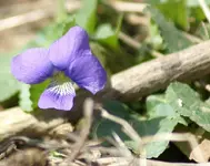 DSC04356.webp