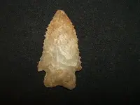 DSCF1620.webp