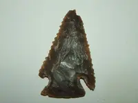 DSCF1636.webp