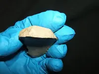 DSCF1625.webp