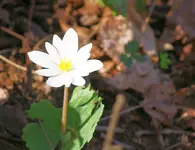 DSC04419.webp