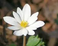 DSC04420.webp