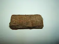 DSCF1638.webp