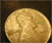 1911 wheat  2.webp