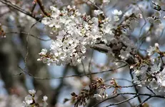 DSC04424.webp