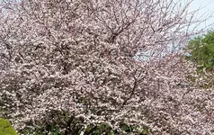 DSC04428.webp