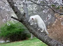 DSC04432.webp