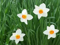 DSC04426.webp