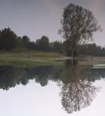 LakePicA.webp