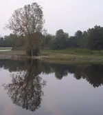 LakePicB.webp