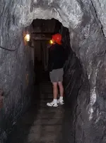 LarryinGoldBugMine.webp