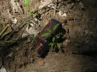 may 5 2011 004.webp