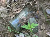 may 5 2011 003.webp