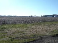 fieldofdreams.webp