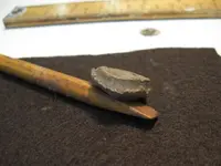 slug 005.webp