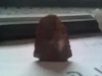 0316012234.webp